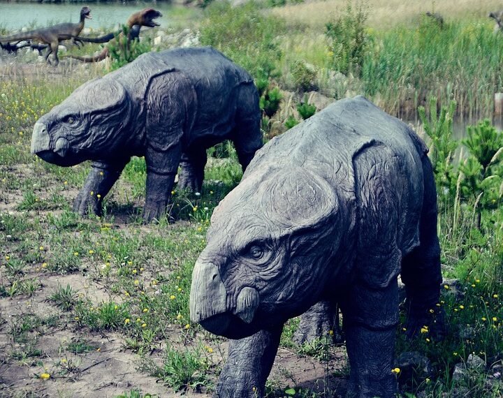 history of indian cinema evolution