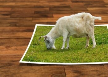 how editing rhythms shape storytelling