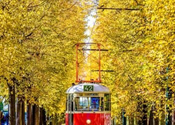 how documentaries influence public perception