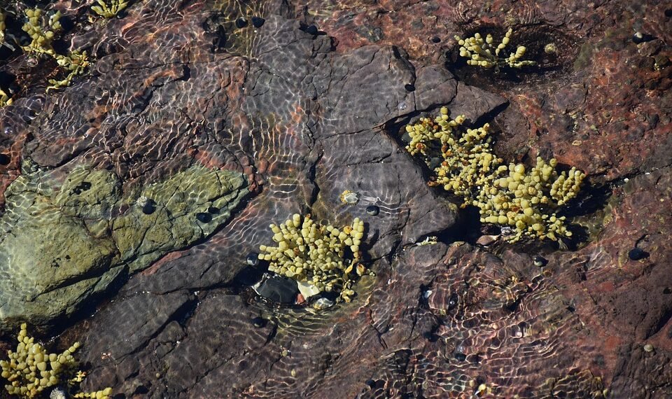 how film ratings systems developed globally