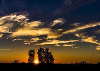 introduction to fashion silhouettes and shapes