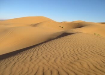 cinematic impact of true story adaptations