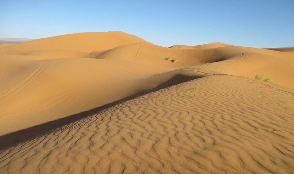 cinematic impact of true story adaptations