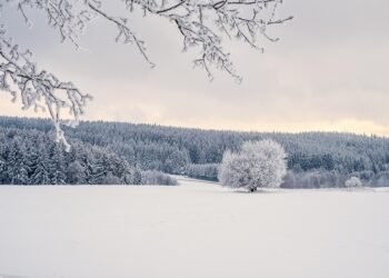 development of surround sound in movies