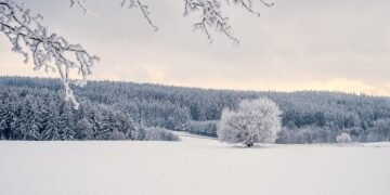 development of surround sound in movies