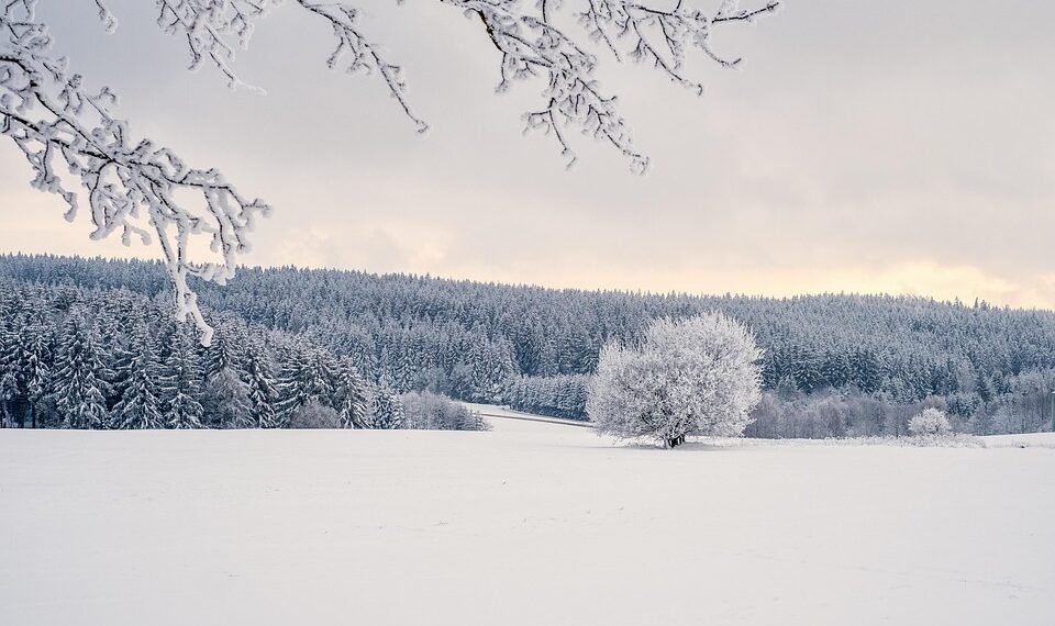 development of surround sound in movies