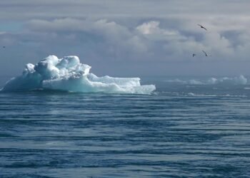 how climate affects clothing choices