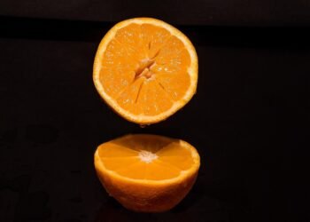 how horror films evolved across decades