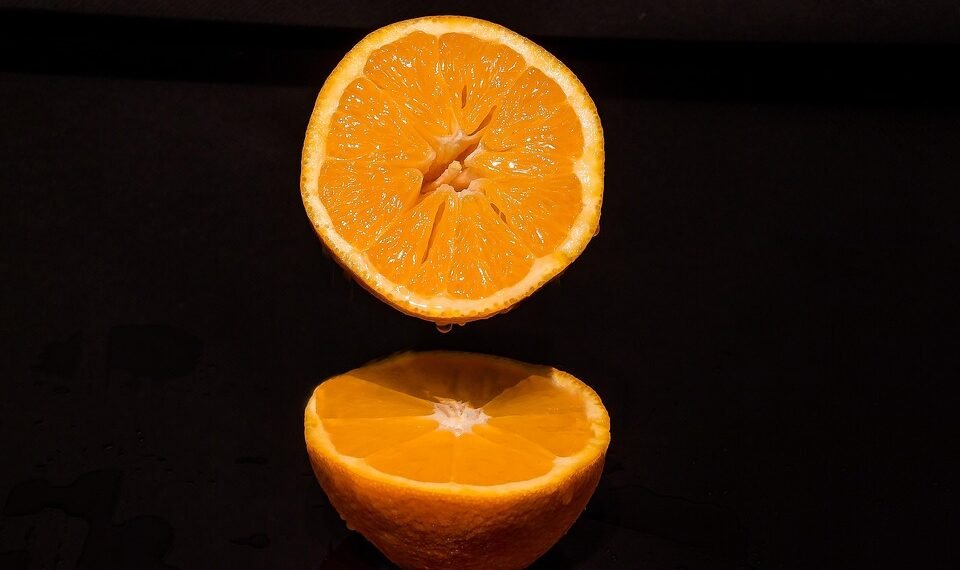 how horror films evolved across decades