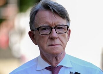 Files Reveal Epstein Sent Funds for Osteopathy Fees to Mandelson’s Husband
