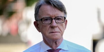 Files Reveal Epstein Sent Funds for Osteopathy Fees to Mandelson’s Husband