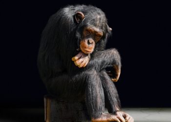 evolution of film criticism and reviewers