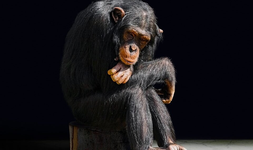 evolution of film criticism and reviewers