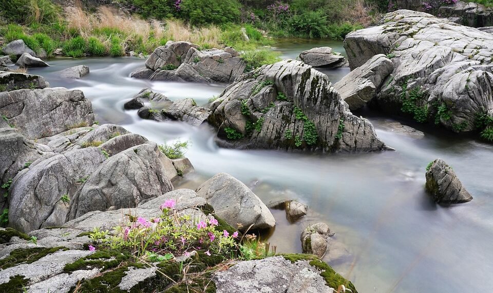 rise of streaming platforms in film distribution