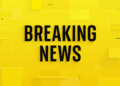 Former Councillor Sentenced to 20 Weeks for Stalking Dame Penny Mordaunt