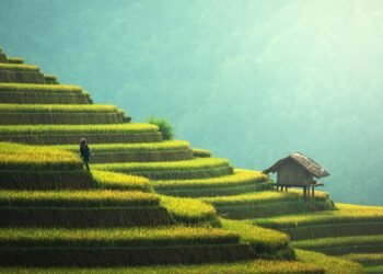 basics of ethical and sustainable fashion