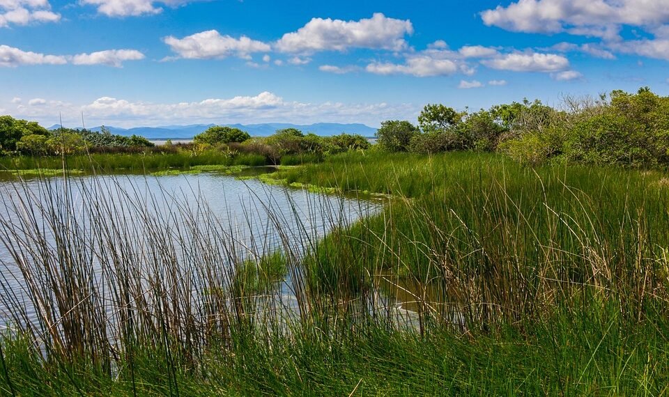 importance of film preservation and restoration