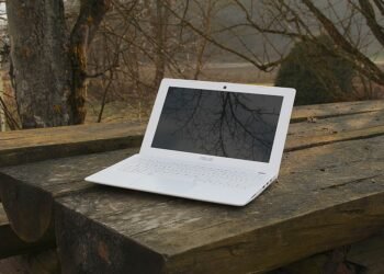 rise of independent films worldwide