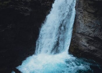 importance of film preservation and restoration