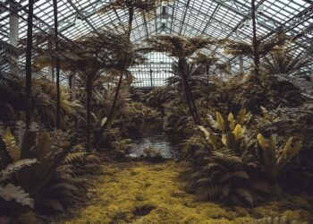 greenhouse effect scientific explanation