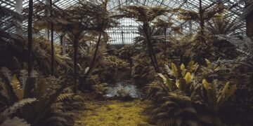 greenhouse effect scientific explanation
