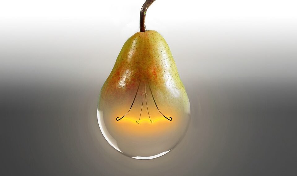 introduction to Mendelian genetics and inheritance