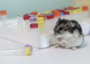 introduction to the scientific method