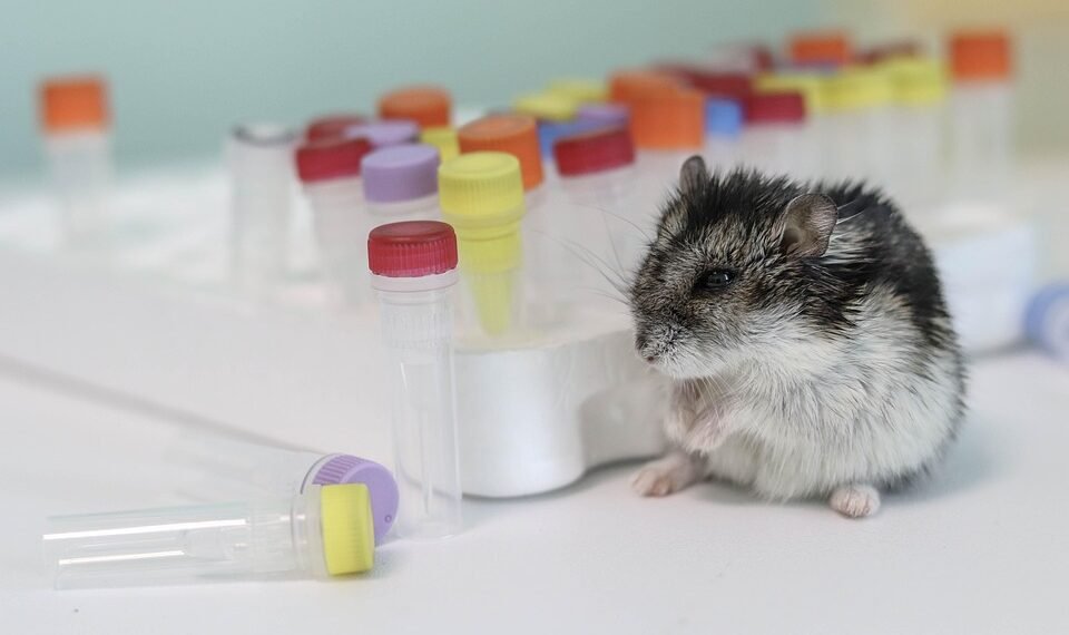 introduction to the scientific method