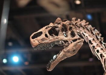 history of indian cinema evolution