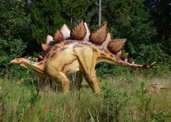 evolution of movie marketing and trailers