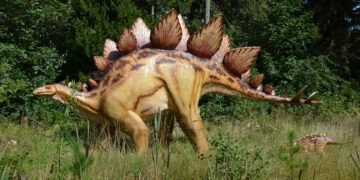 evolution of movie marketing and trailers