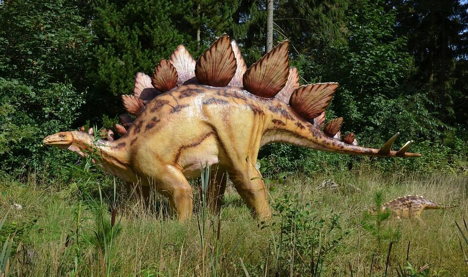 evolution of movie marketing and trailers