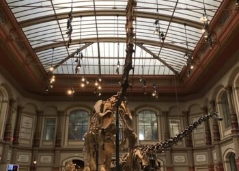 evolution of movie theatres and exhibition