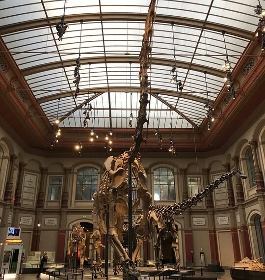 evolution of movie theatres and exhibition