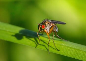 role of logistics in product distribution