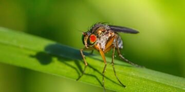 role of logistics in product distribution