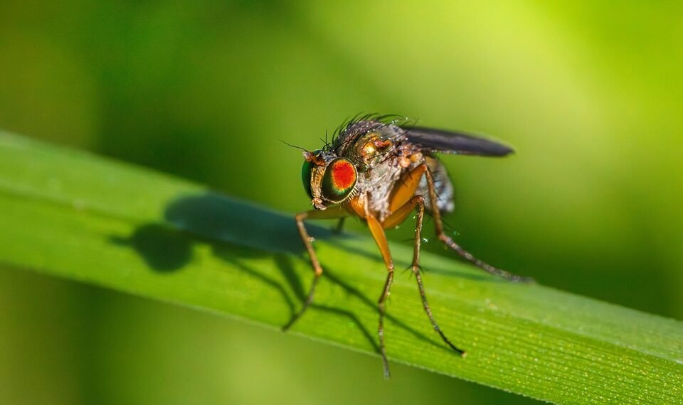 role of logistics in product distribution