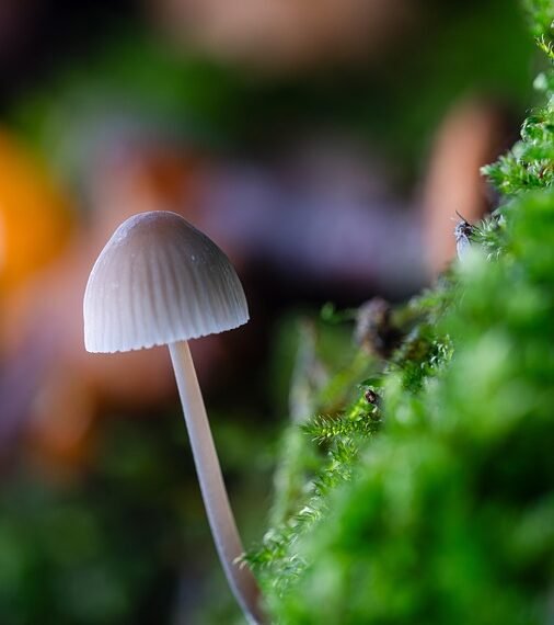 evolution of film criticism and reviewers