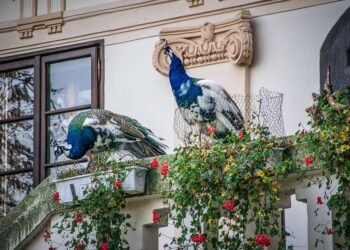 importance of film soundtracks historically