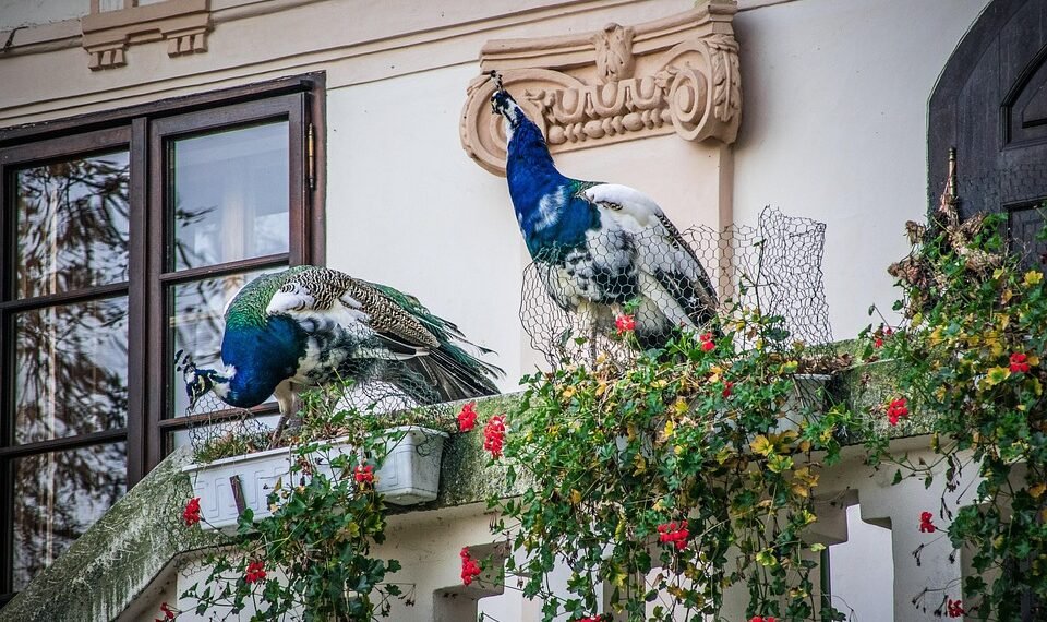 importance of film soundtracks historically