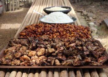 importance of film preservation and restoration