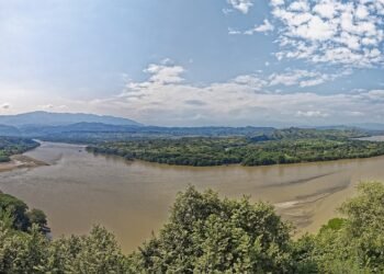 what is representative democracy