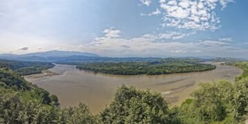 what is representative democracy