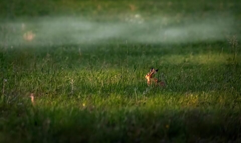 importance of screenplay structure in filmmaking