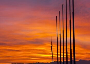 rise of streaming platforms in film distribution