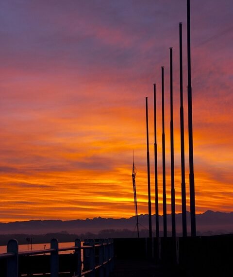 rise of streaming platforms in film distribution