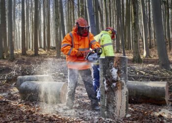 how supply and demand principles work in economics