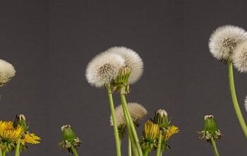 development of surround sound in movies