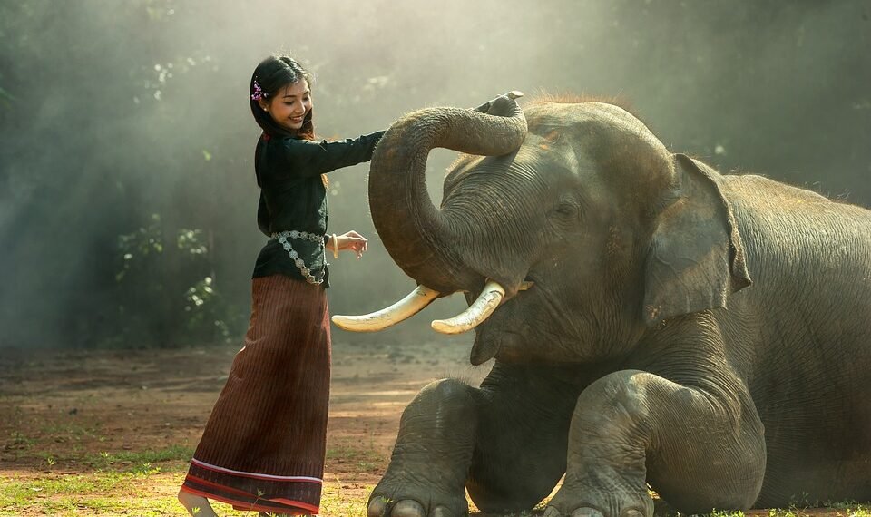 history of james bond film franchise