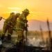 Human Remains Discovered Amid Ongoing Australian Bushfire Crisis